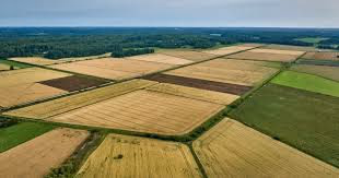 Agri Land